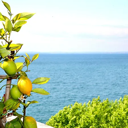 Otel Kriss Internazionale 4*