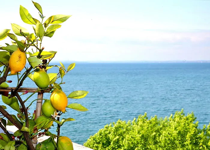 מלון Kriss Internazionale 4*