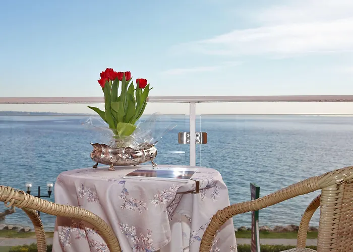 Kriss Internazionale ברדולינו